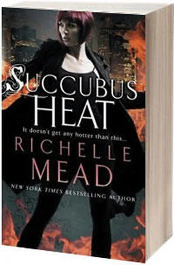 Richelle Mead Succubus Heat обложка книги