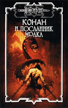 Олаф Бьорн Локнит Посланник мрака обложка книги