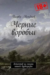 Пюрвя Мендяев - Чёрные воробьи