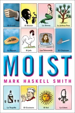 Марк Смит Moist обложка книги