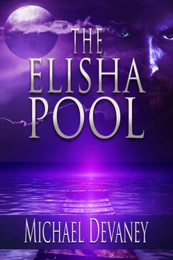 Michael Devaney The Elisha Pool обложка книги