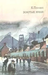 Катарина Причард - Золотые мили