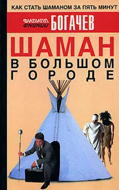 Филипп Богачев Шаман в большом городе обложка книги