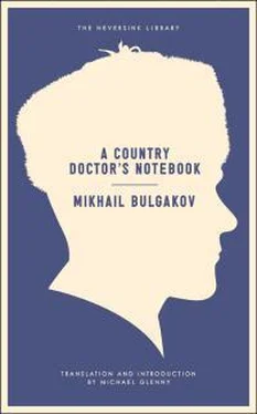 Михаил Булгаков A Country Doctor's Notebook обложка книги