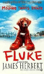 James Herbert - Fuks