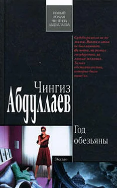 Чингиз Абдуллаев Год обезьяны обложка книги