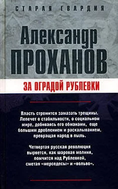 Александр Проханов За оградой Рублевки обложка книги