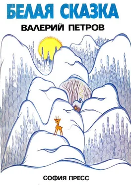 Валерий Петров Белая сказка обложка книги