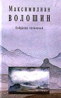 Максимилиан Волошин Полное собрание стихотворений обложка книги