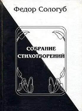 Федор Сологуб Полное собрание стихотворений обложка книги