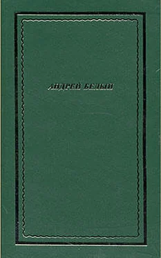 Андрей Белый Полное собрание стихотворений обложка книги