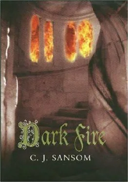 C. Sansom Dark Fire обложка книги