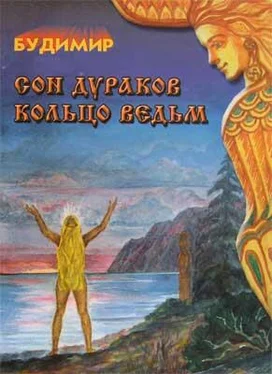 Будимир Сон дураков обложка книги