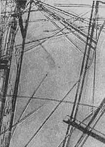 Рис 23 Нитевидные кристаллы или усы гидрохинона растущие из водного - фото 23