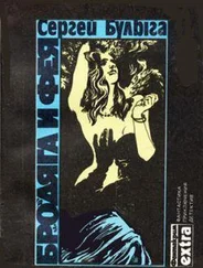 Сергей Булыга - Бродяга и фея (сборник)