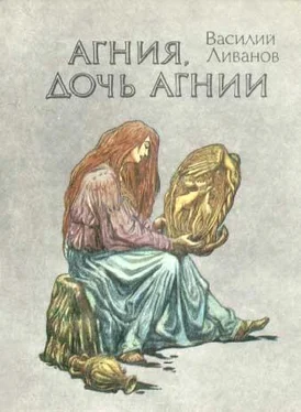 Василий Ливанов Агния, дочь Агнии обложка книги