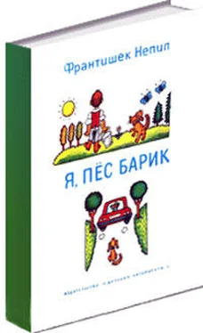 Франтишек Непил Я, пёс Барик обложка книги