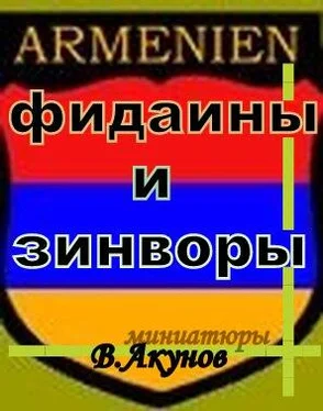 Вольфганг Акунов Фидаины и зинворы или бойцы армянского невидимого фронта обложка книги