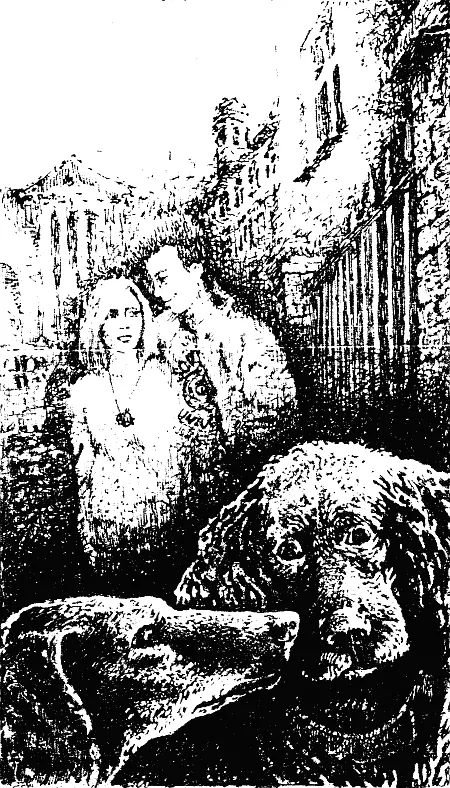 Затем мы идем дальше и под моими лапами проплывает асфальт уличных тротуаров - фото 4