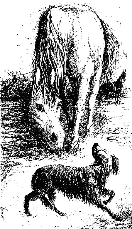 Приятель Мальчика приходил к нам довольно часто Однажды на даче они взяли меня - фото 5