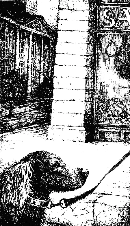 КОГДА ОНИ УЕЗЖАЮТ Они это дети которые приезжают в наш загородный дом на - фото 6