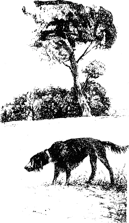 Мы возвращаемся домой шатаясь от усталости Я прямиком иду отдыхать в свою - фото 8