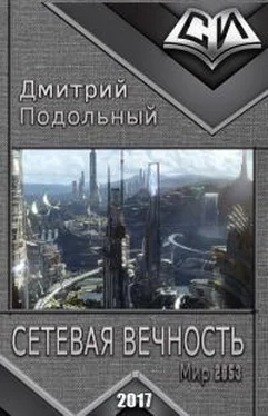 Дмитрий Подольный Сетевая вечность обложка книги