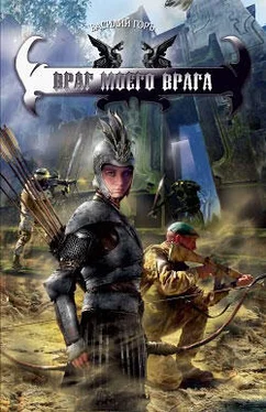 Василий Горъ Враг моего врага обложка книги