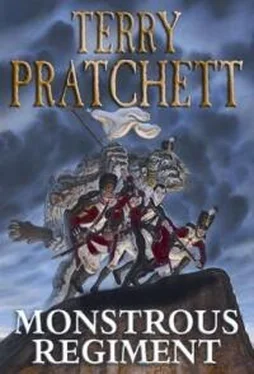 Терри Пратчетт Монстрячий взвод обложка книги