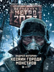 Андрей Буторин - Метро 2033 - Хозяин города монстров
