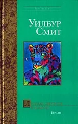 Уилбур Смит - Леопард охотится в темноте