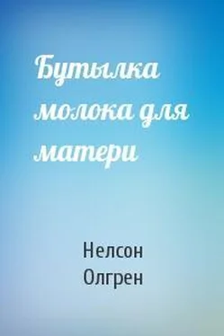 Нелсон Олгрен Бутылка молока для матери обложка книги