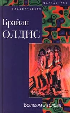 Брайан Олдисс Доклад о вероятности Эй обложка книги