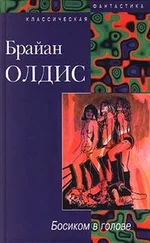 Брайан Олдисс - Доклад о вероятности Эй