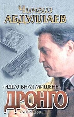 Чингиз Абдуллаев Идеальная мишень обложка книги