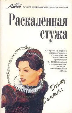 Дениз Домнинг Раскаленная стужа обложка книги