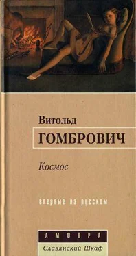 Витольд Гомбрович Космос обложка книги