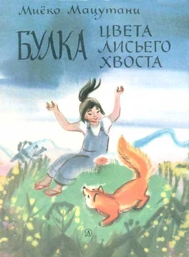 Миёко Мацутани Булка цвета лисьего хвоста обложка книги