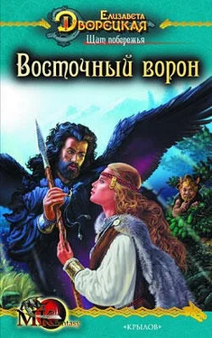 Елизавета Дворецкая Щит побережья. Книга 1: Восточный Ворон обложка книги