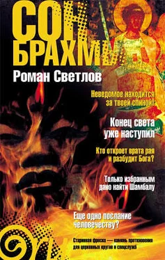 Роман Светлов Сон Брахмы обложка книги