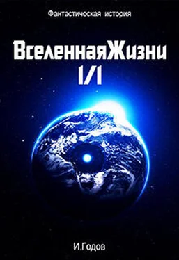 Илья Годов Вселенная жизни 1/1 (СИ) обложка книги