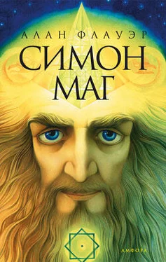 Алан Флауэр Симон маг обложка книги