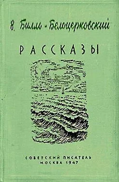 Владимир Билль-Белоцерковский Хороший урок обложка книги