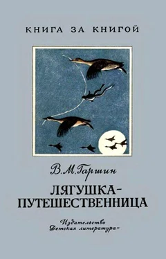 Всеволод Гаршин Лягушка-путешественница. Сказка обложка книги