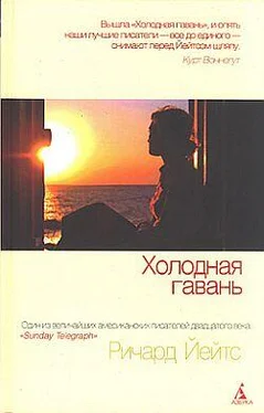 Ричард Йейтс Холодная гавань обложка книги