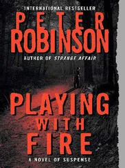 Peter Robinson - Playing With Fire