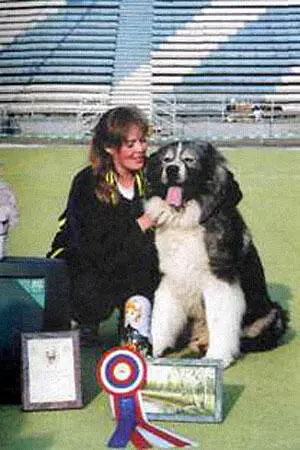 ВамБося Габо БосВитра Юный Чемпион Мира2001 Юный Чемпион МКА2001 г - фото 17