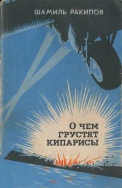 Шамиль Ракипов О чём грустят кипарисы обложка книги