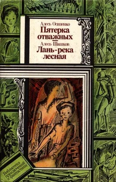 Александр Шашков Лань — река лесная обложка книги