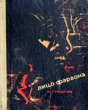 Михаил Грешнов Лицо фараона (с иллюстрациями) обложка книги